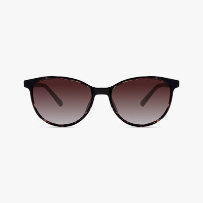 Dark Purple Tortoise