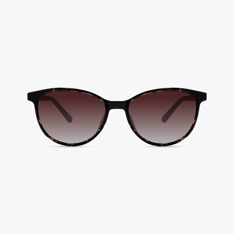 Dark Purple Tortoise