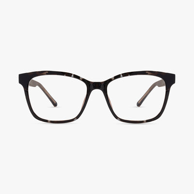 Blue Burgundy Tortoise