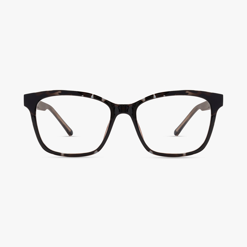 Blue Burgundy Tortoise
