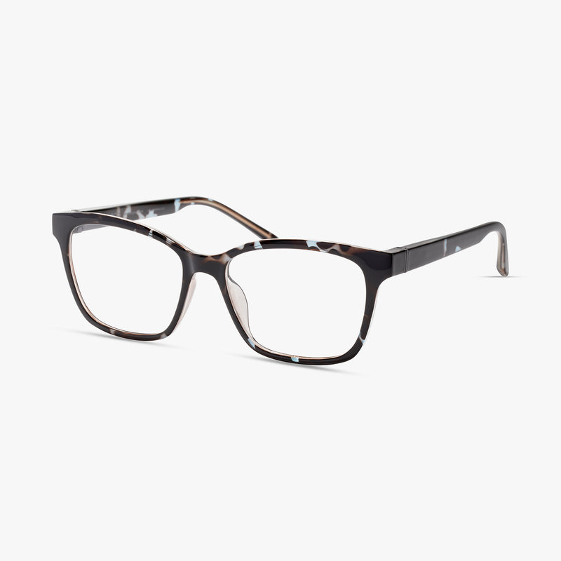 Blue Burgundy Tortoise
