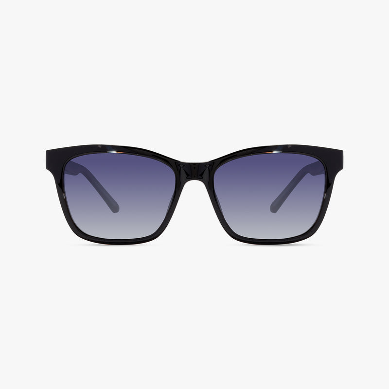 Blue Burgundy Tortoise