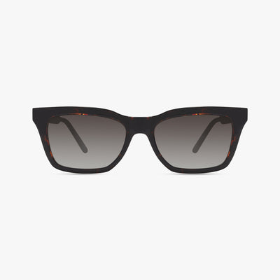 Dark Tortoise