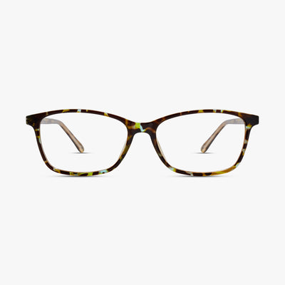 Turquoise Tortoise