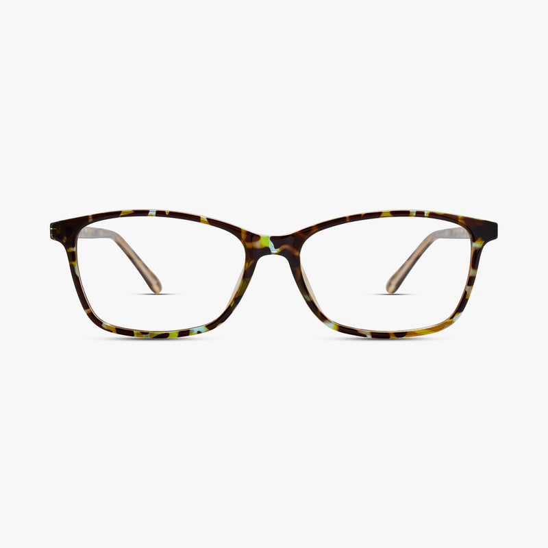 Turquoise Tortoise
