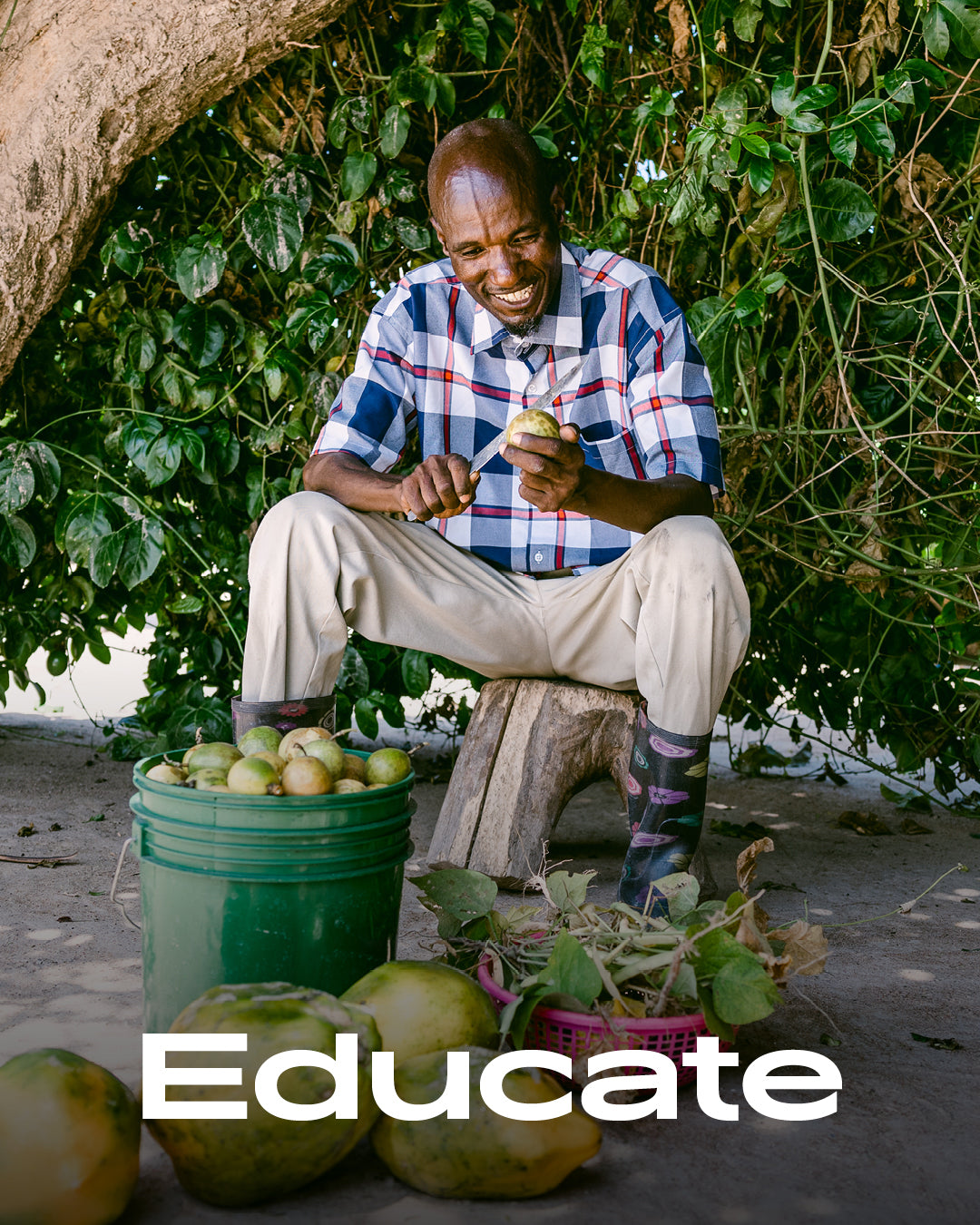 One Frame One Tree: Carbon-Negative Eyewear | Eco Eyewear